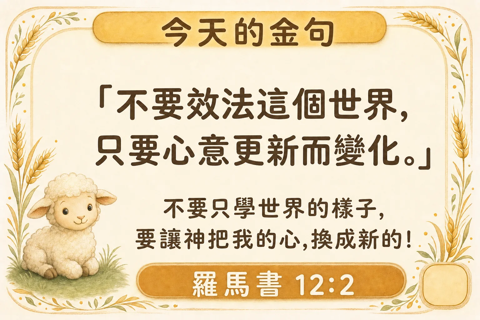 今天的金句